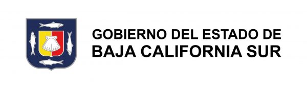 logo-BCS-COLOR-2-scaled-1.jpg