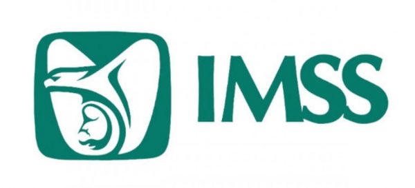 logo-imss-1.jpeg